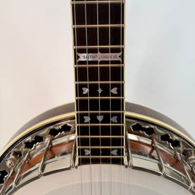 1983 Stelling Sunflower Archtop 5-String Banjo, Raised Head, San Diego image 5