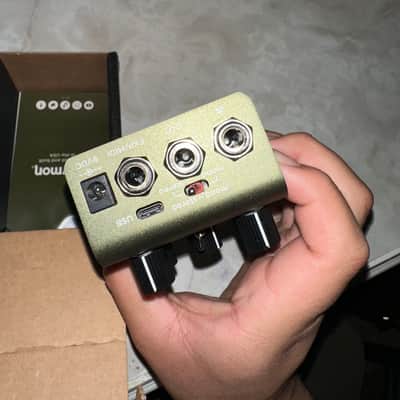 Strymon Brig dBucket Delay 2023 - Present - Green image 5