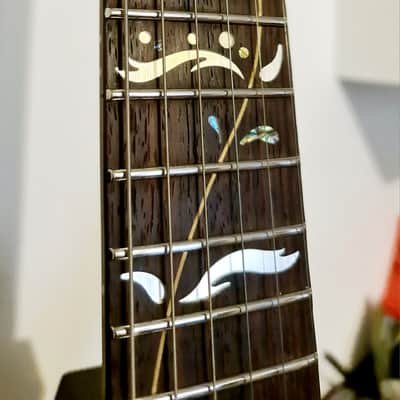 2024 Ibanez PIA – Onyx Black – Steve Vai Signature guitar - Excellent Condition + Ibanez Hardcase image 11