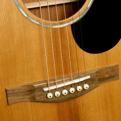 Eastman PCH1-OM image 10