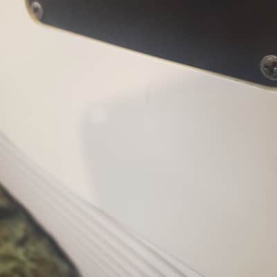 Fernandes The Function image 15