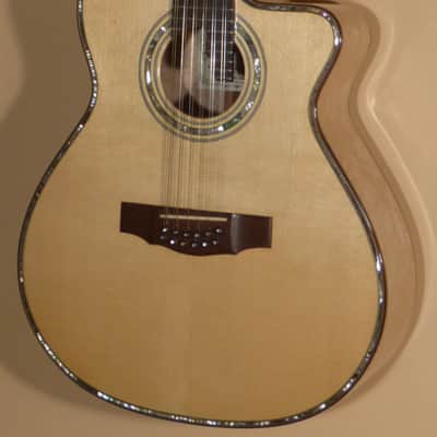2002 Rubio 12-String Cutaway image 2