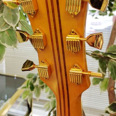 Epiphone Masterbilt Excellente FT120 Series Acoiustic Guitar w/ Built-in Electronics 2020 - Present - Antique Natural Bild 13
