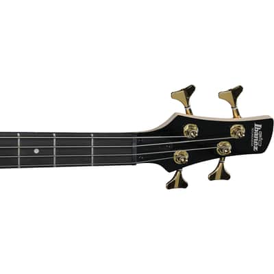 Ibanez GSR200PC Gio SR 4-String P/J Bass - Transparent Marine Burst image 7
