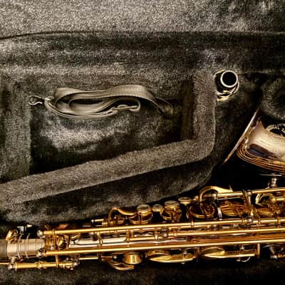 Cannonball Septyr ASCEP-BL Semi-Pro Alto Saxophone - Blue Abalone, F# Key, Black Nickel & Gold, Excellent!!! image 5
