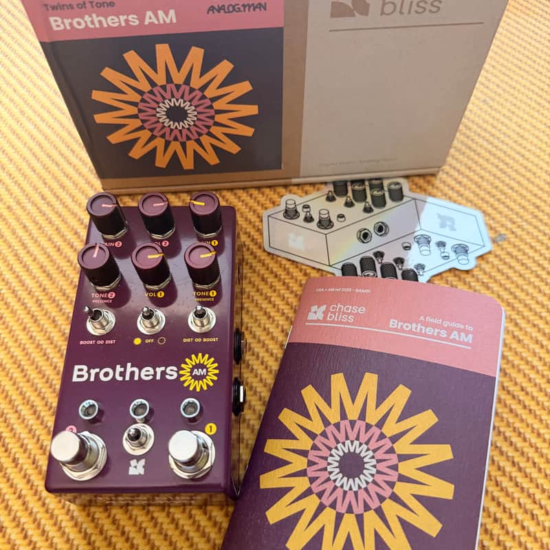 Chase Bliss Audio Brothers AM 2025 - Present - Various image 1
