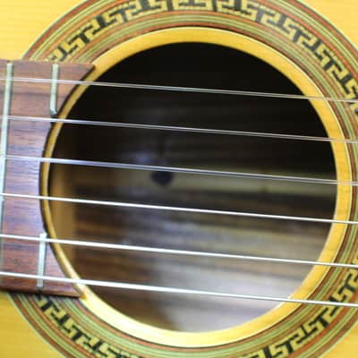 A Crestwood Solid Wood Classical Guitar in it's Original Case with Rosewood Back & Sides Solid Wood   12 G image 5