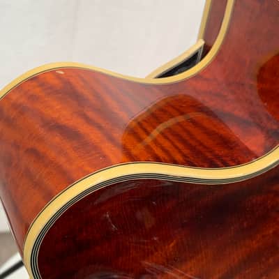 Eastman AR810CE – 2010 image 20