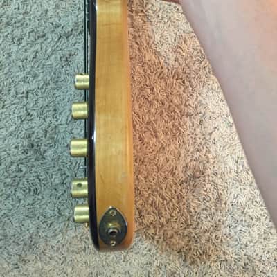 Modulus Quantum 5 TBX w/ Cocobolo top, Neck-through image 5