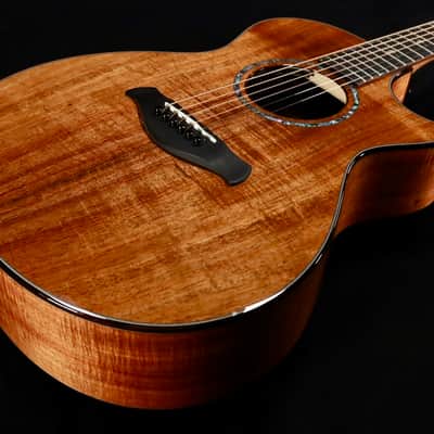 Taylor 2026 Catch Custom #41 C22ce Tasmanian Blackwood image 1