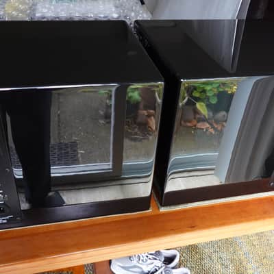 Trident Audio HG3 Monitors 2015 image 9