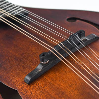 Immagine Eastman MD305 A Style - 7
