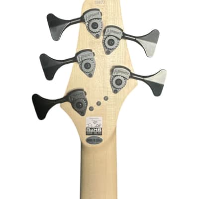 Dingwall Combustion 5, Whalepool Burst w/ Pau Ferro *In Stock! image 6