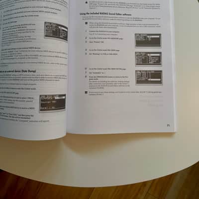 Korg Radias - 2000er Klassiker in 1A-Zustand! image 9