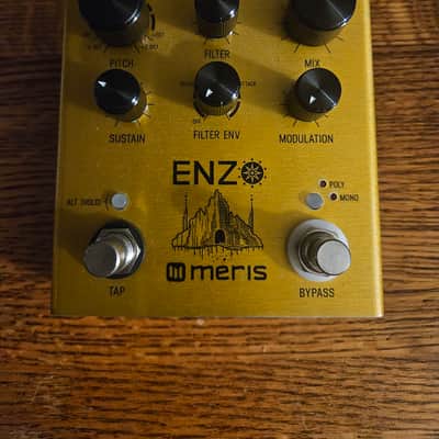 Meris Enzo 2018 - Gold image 2