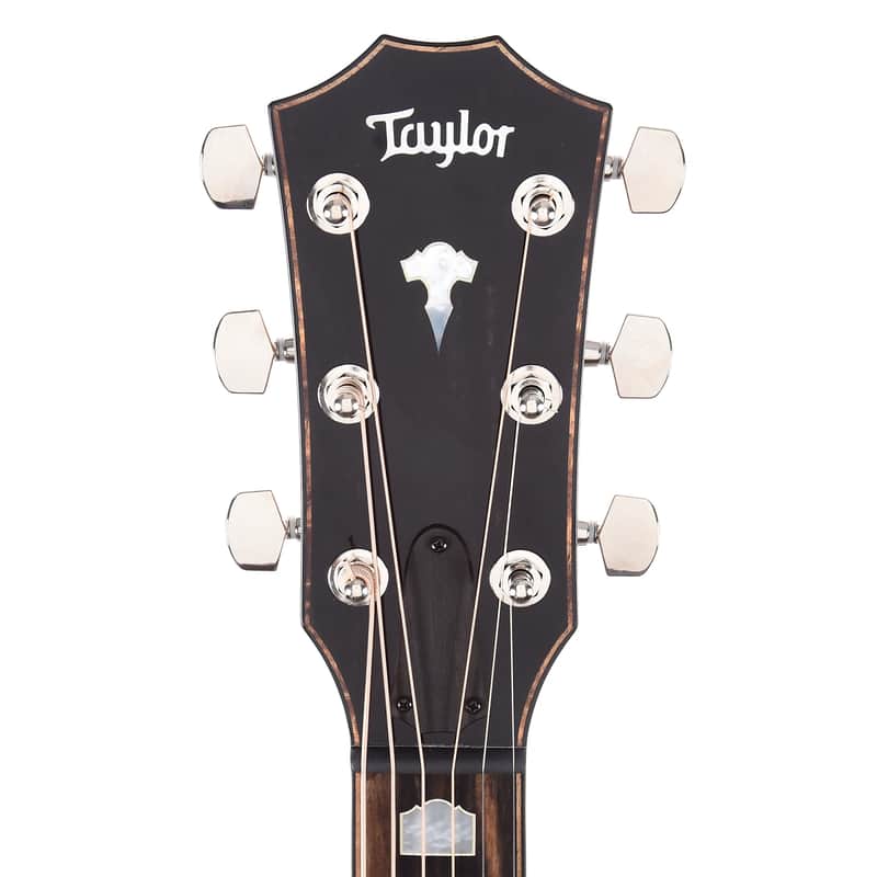 Taylor 818e with V-Class Bracing image 6