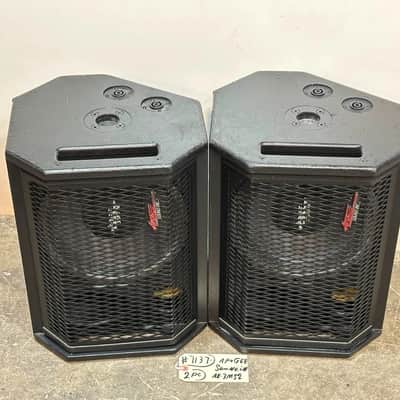 Apogee Sound AE-3Ms2 10" 2-Way Stage Monitor Loudspeaker #7137 (PAIR) THS image 16