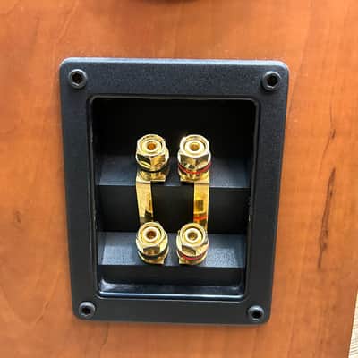 Axiom M80Ti Loudspeakers (Pair) - Warm Cherrywood Blonde - Local Pickup Only in Milwaukee, WI image 6