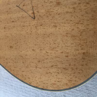 Spruce Top Resonator Guitar DIY Project, Rosewood Fretboard Neck image 3