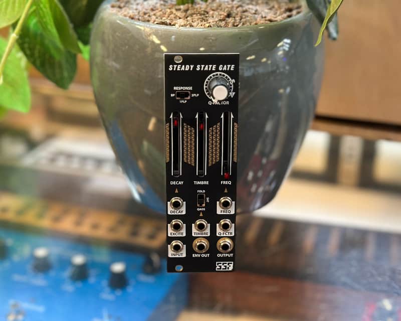 Steady State Fate Steady State Gate