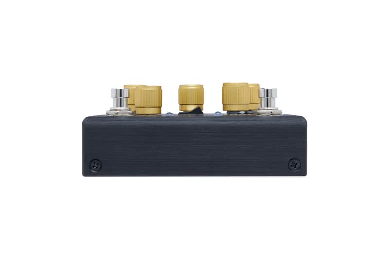 Pigtronix Philosopher’s Tone 2