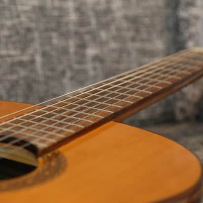 Aria A554 Classical Nylon String Guitar - 1970 - Made in Japan - Brazilian Rosewood image 12