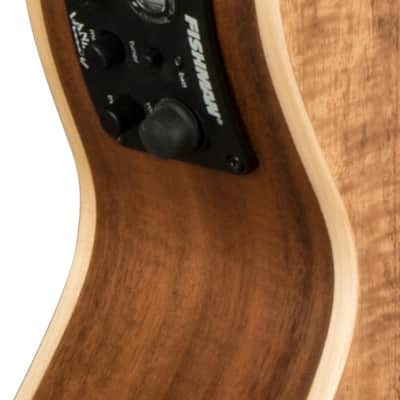 Lanikai Solid Top Acacia 6-String Uke Acoustic/Electric Tenor Ukulele FREE GigBag FREE US Shipping! image 5