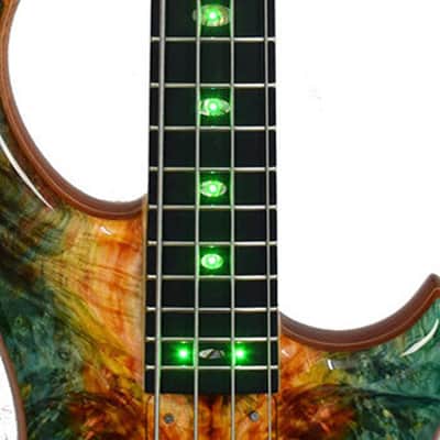 Alembic Series I Buckeye Resin Top Green LED image 8