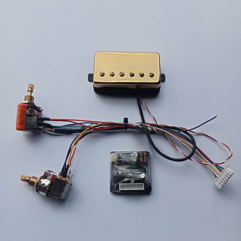 Veyz Sustainer Pickup System - Reversed Can Humbucker Design Gold Finish | Hosco Japan Push Push Potentiometer | Not A Sustainiac Stealth Pro Nor Fernandes Sustainer | image 1
