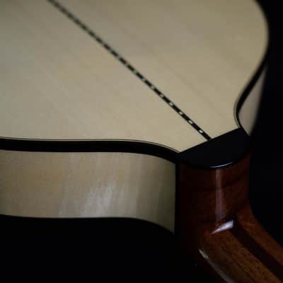 Pedro Santos 10-String Mandolin with VS Tuners | Brazil (Dudu Maia Model) image 6