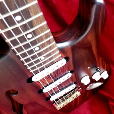 SJ Custom Guitars  Stratocaster semihollow all rosewood, Wilkinson tremolo, gotoh tuners image 14
