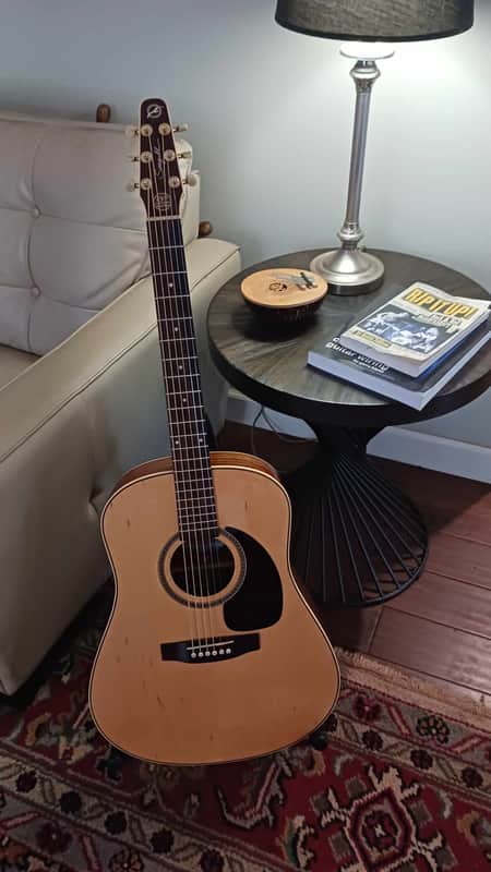 Seagull 25th Anniversary Mahogany/Spruce HG 2008 - Clear image 1
