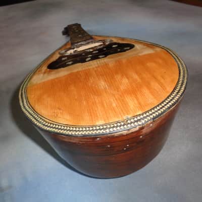 E. Zerega Bowlback Mandolin Brazilian 1900 image 8