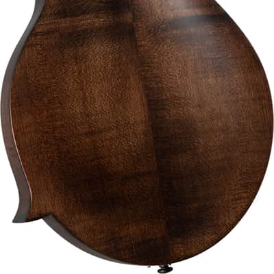 Kentucky KM-606 Standard F-Style Mandolin, Solid Spruce Top, Satin Brown image 3