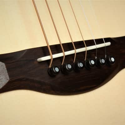 ON HOLD - Santa Cruz FS (Fingerstyle) MC Custom image 21