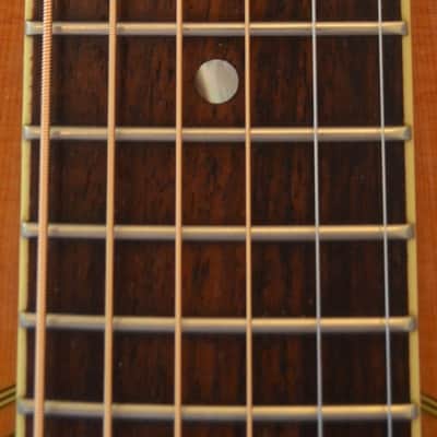 Alvarez 2560 Silver Anniversary Acoustic Guitar image 9