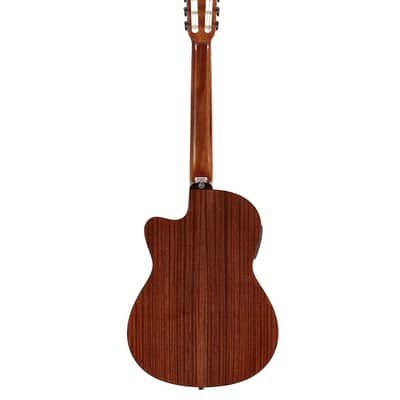 Alvarez AC65CE - Classical / Electric Guitar (NEW DEMO) image 3
