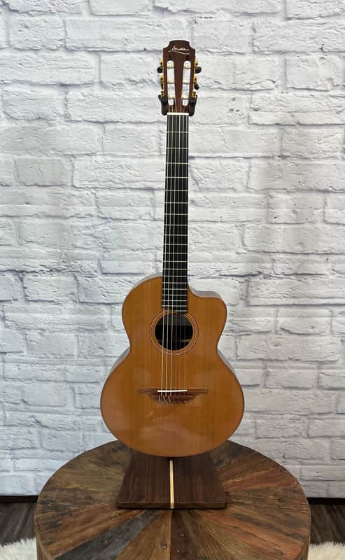 Lowden S25J 2012 - With K&K & HSC image 1