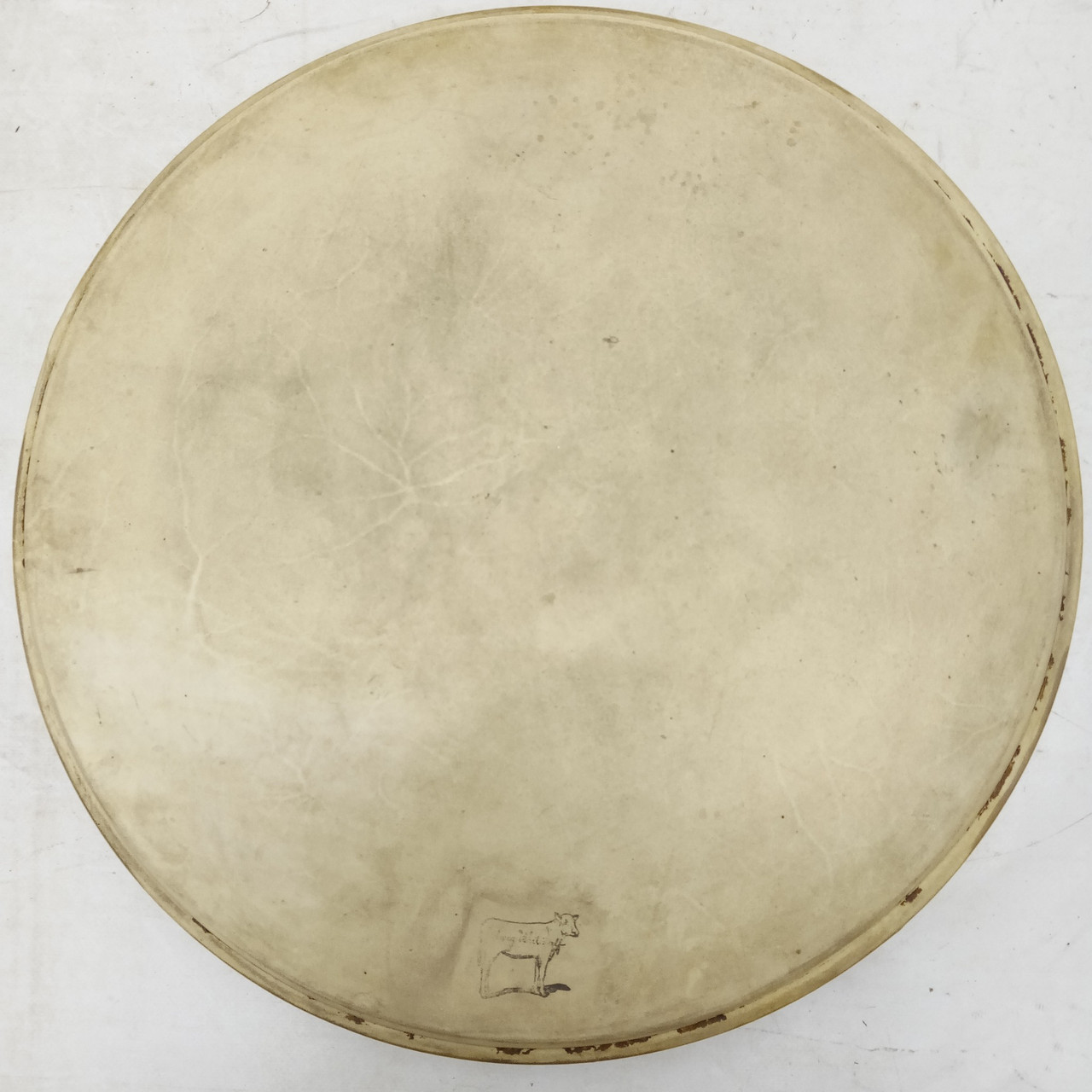 Ludwig 14" Whitecalf Calf Skin Snare/Floor Tom Drum Head Batter Vintage 40s USA — main photograph