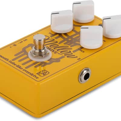 Caline CP-502 Mellow Drive 2024 - Yellow image 3