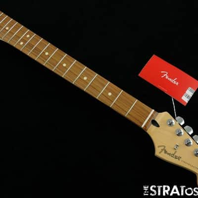 2021 Fender Player Stratocaster Strat NECK TUNERS, "C" Shape Pau Ferro image 2