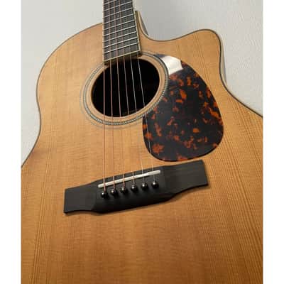 L'Arrivee LV03RE Grand Auditorium Electro Acoustic Guitar with Hardcase Pre-Owned image 10