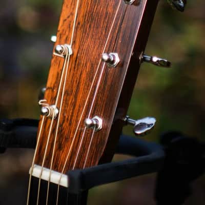 Schoenberg OMC soloist ES-15 by B. Sexauer 2006 Brazilian German image 3