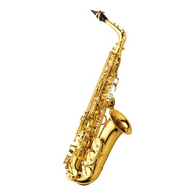 Yanagisawa A-WO1 Brass model Alto Saxophone Lacquer Finish MADE IN JAPAN image 4
