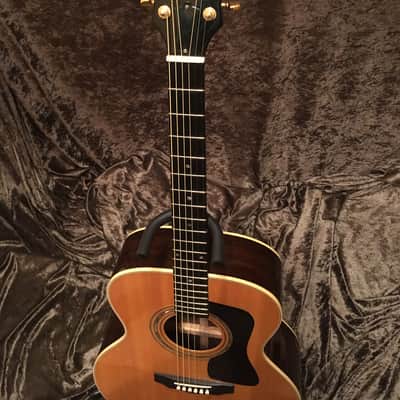 Guild GV70 94 Westerly R.I. "Rare Bird Alert" 1 of 59 image 5