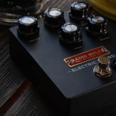 Radio Mule - Electric Beard image 2