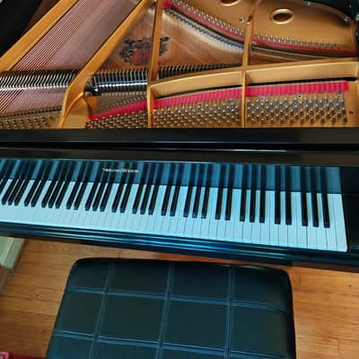 Wurlitzer C153 Mid 1980’s - Ebony image 8