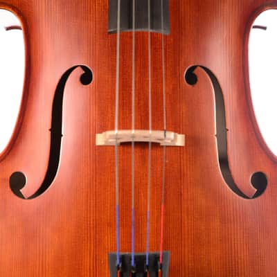 Scherl & Roth SR55 Galliard Student Cello - 4/4 image 4
