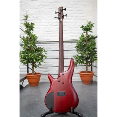 IBANEZ SR1420B-CGL Caribbean Green Low Gloss image 4
