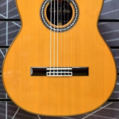 Immagine Cordoba Luthier C10 Cedar All Solid Nylon Guitar & Case - 6